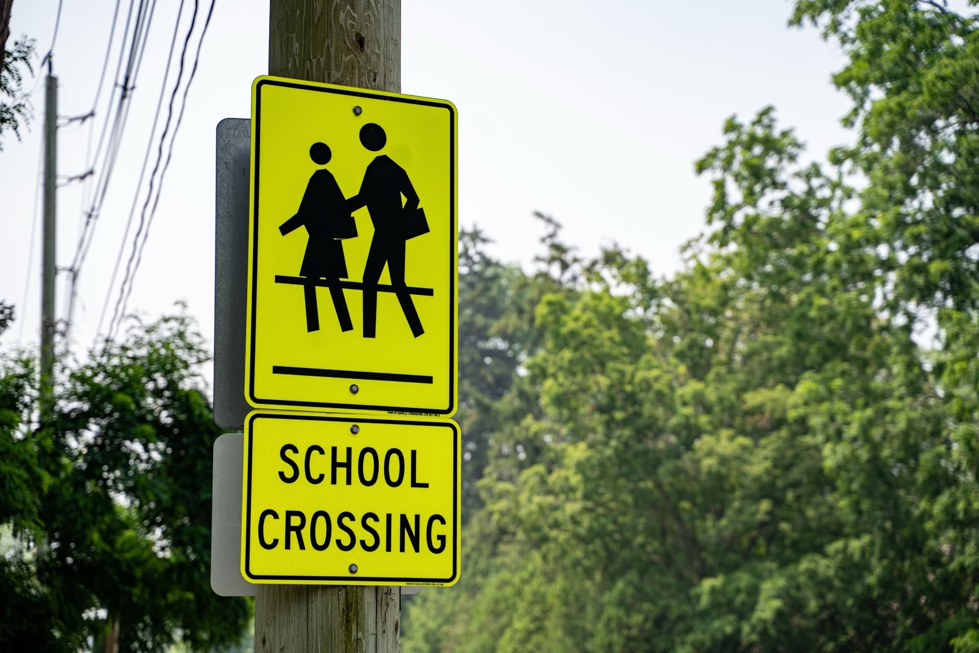 Yellow school crossing sign on a tree-lined street