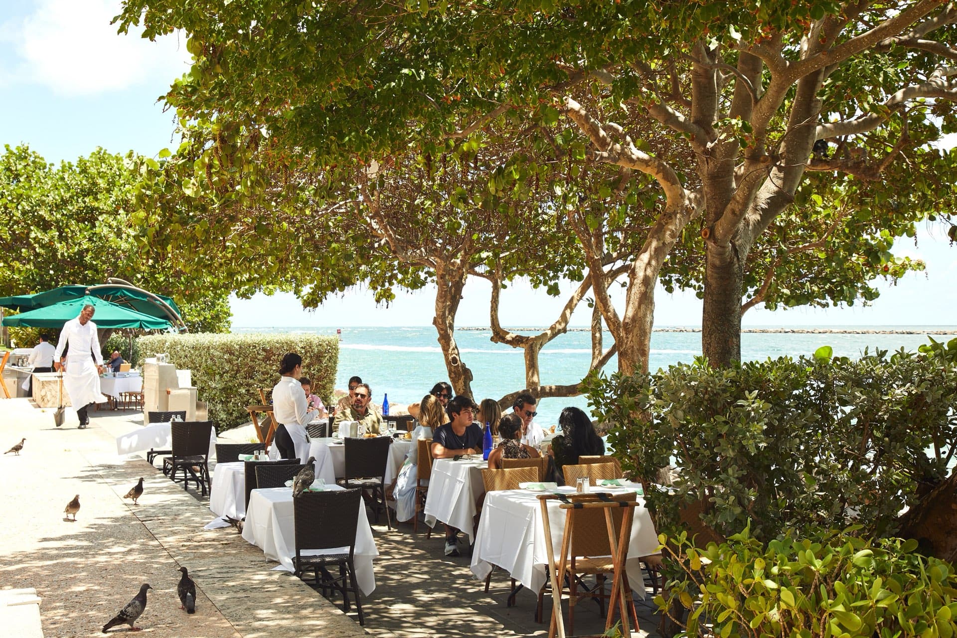 Diners at white-tablecloth tables on a shaded oceanfront restaurant patio, with the Atlantic visible beyond the trees