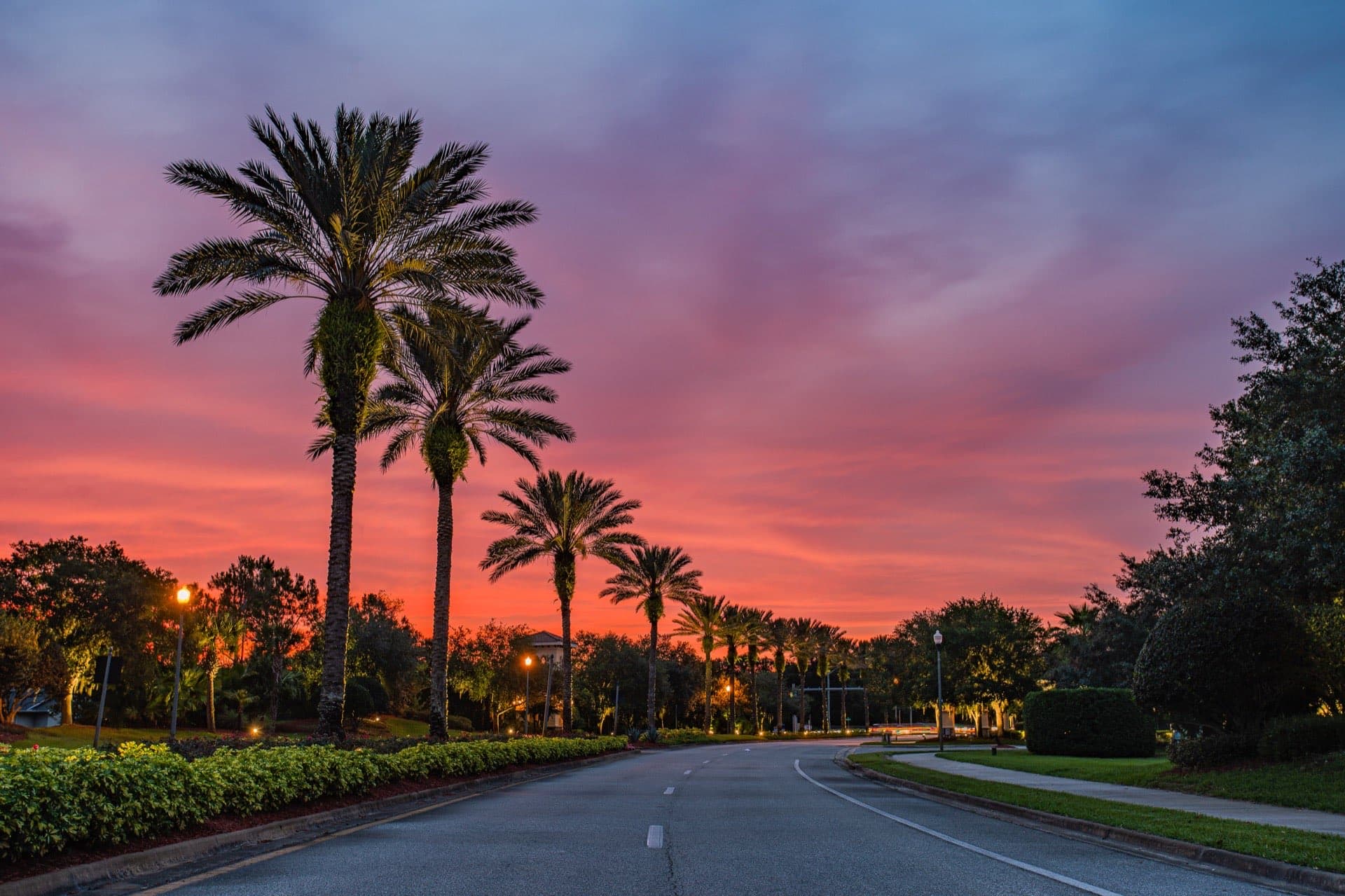 Palm tree-lined road in New Smyrna Beach, Florida